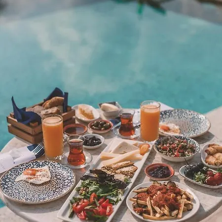 Otel Turunç House *