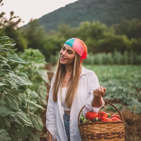 ホテル Turunc House *