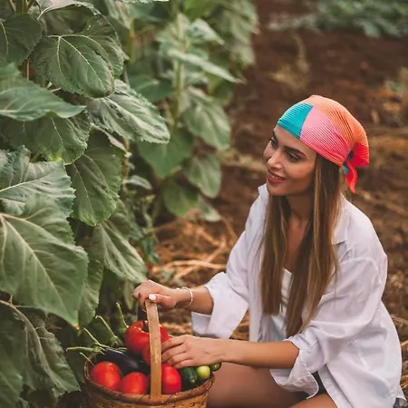 Otel Turunç House Kayaköy