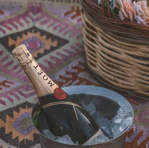 호텔 Turunc House *