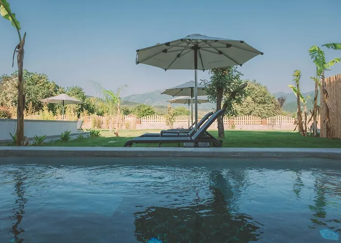 호텔 Turunc House 카야코이