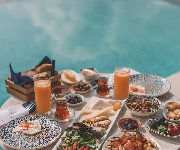 호텔 Turunc House *