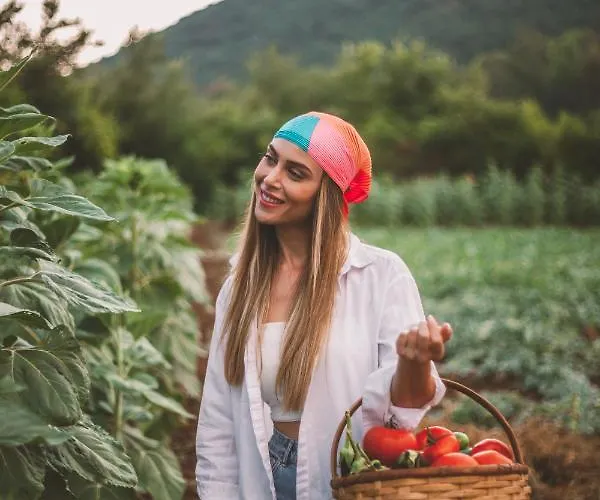 호텔 Turunc House *