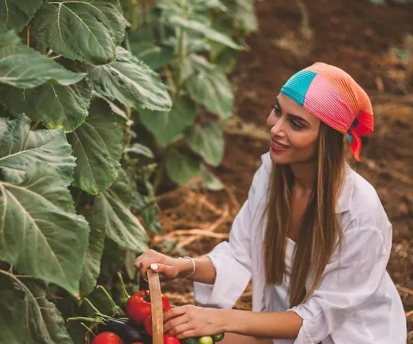 호텔 Turunc House 카야코이